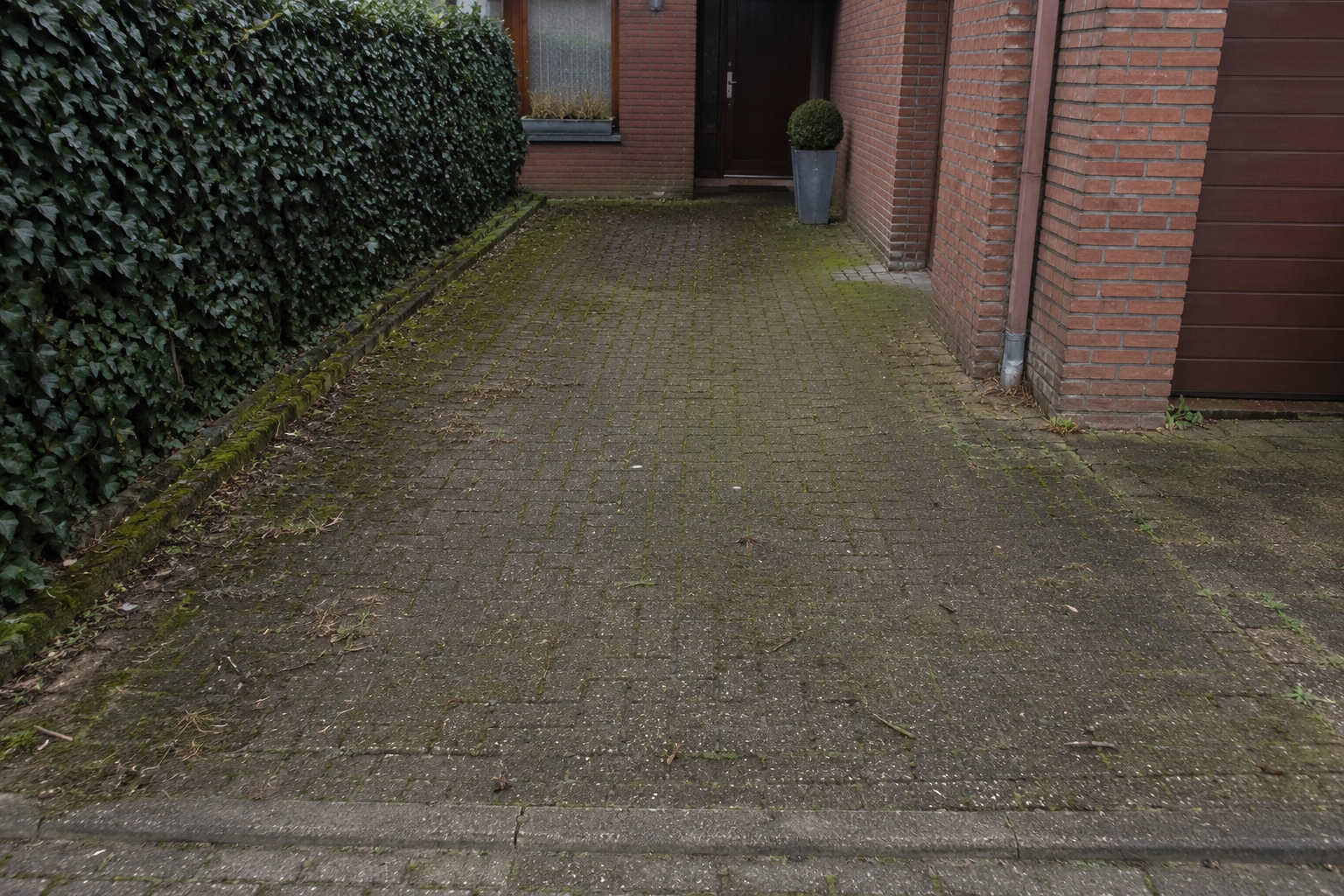 Ontmossen oprit en terras